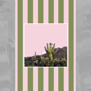 Sunset Cactus Pink and Green Stiped