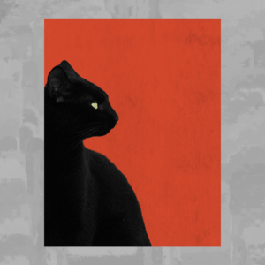 Black Cat Mid Century Poster